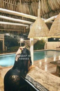 Проститутка Шымкента Девушка№499445 Беременная госпожа Фотография №3841581