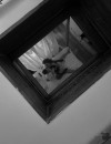 Фотография №3858684